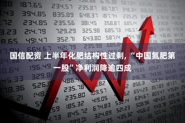 国信配资 上半年化肥结构性过剩, “中国氮肥第一股”净利润降逾四成